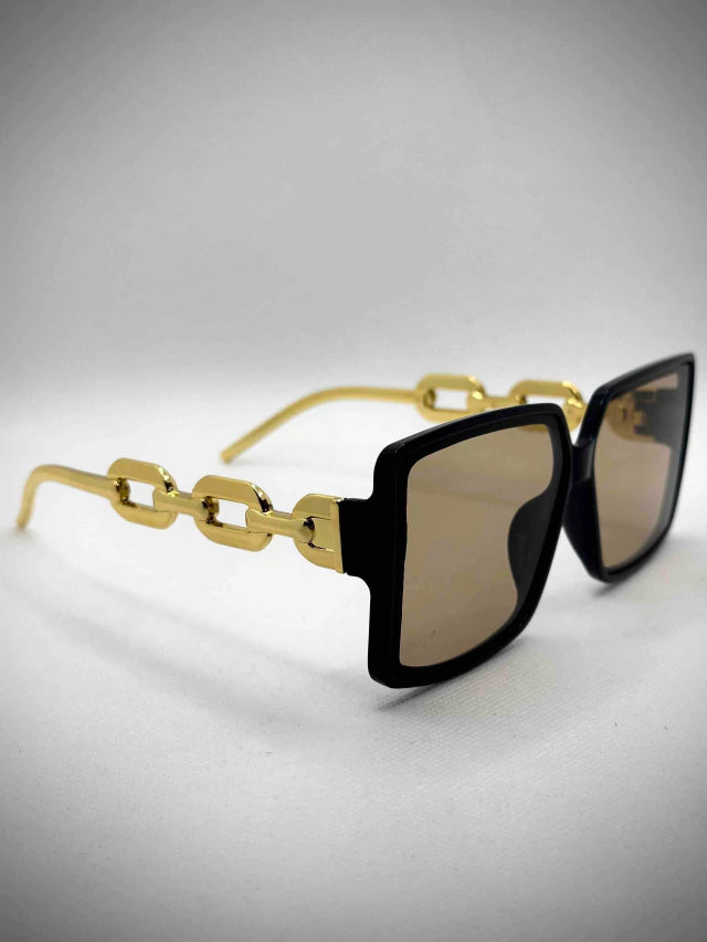 Lentes-Lp6