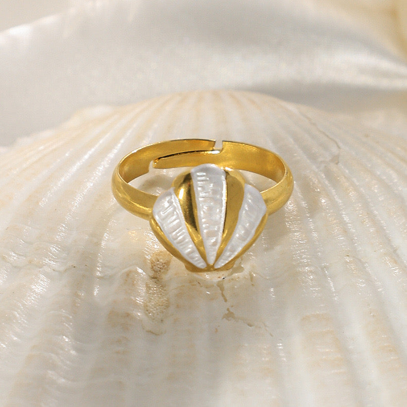 A166 Anillo abierto concha marina acero inoxidable 1cm