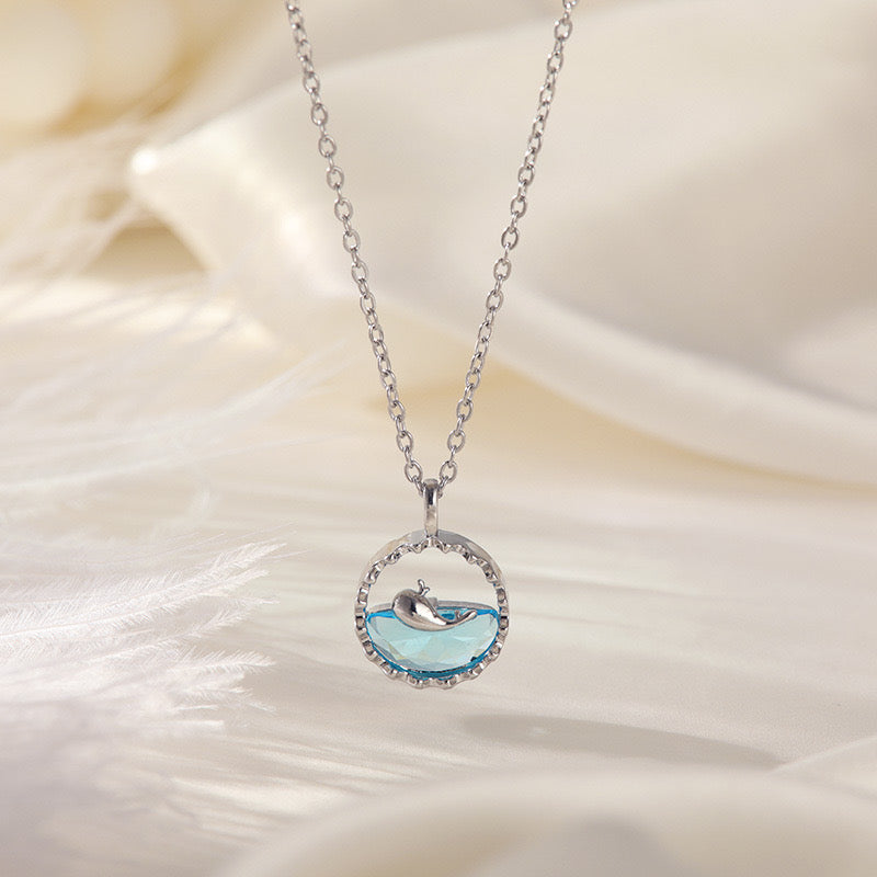 C537 Collar ballena plata acero de titanio largo 22cm dije 2cm