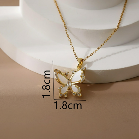 C1063 Collar mariposa acero inoxidable 21cm