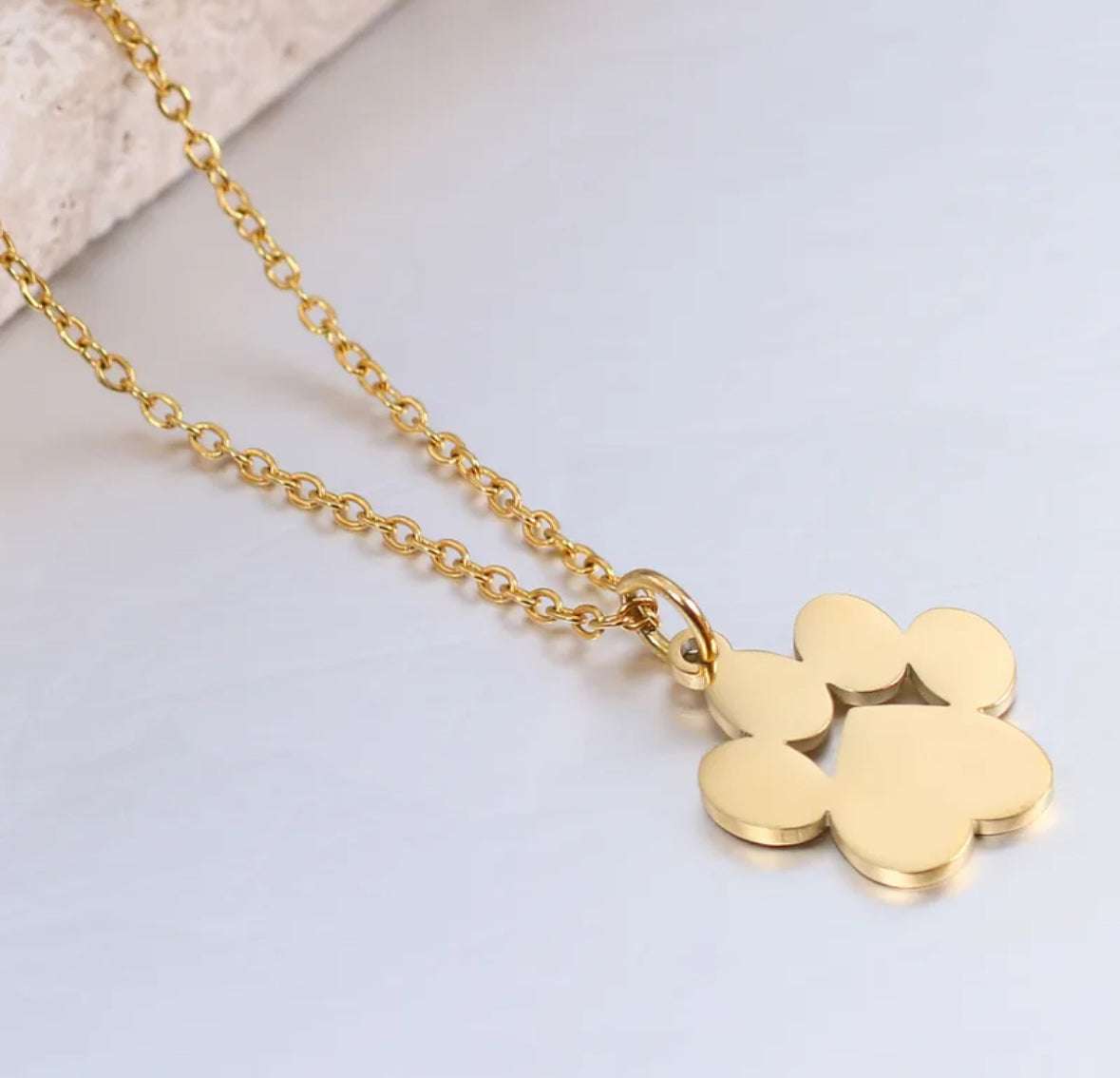 C627D Collar huella perro dorado acero inoxidable largo 22cm dije 2cm