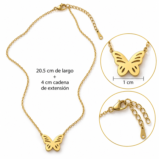 C073 Collar de mariposa acero inoxidable 304
