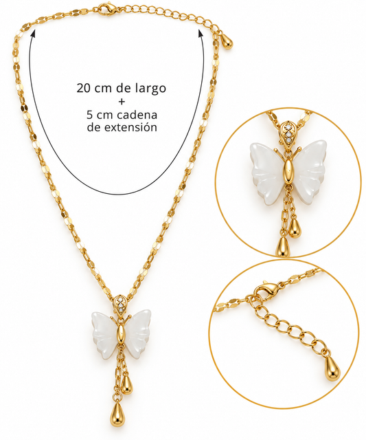 C486 Collar mariposa acero inoxidable